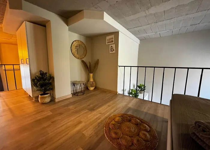 Cervero 24a 4*