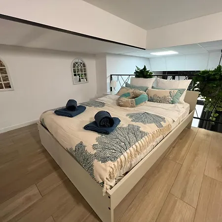 Cervero 24a 4* Valencia